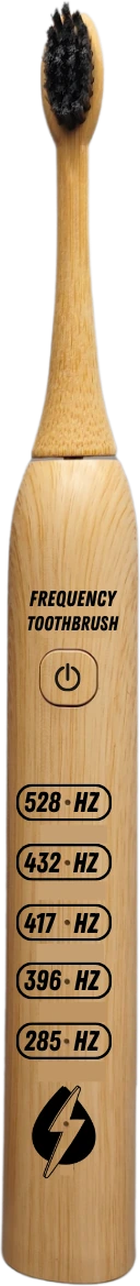 The Frequency Toothbrush, with labelled callouts for its parts